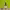 https://res.cloudinary.com/billionhands/image/upload/v1775504563/items/juwesgtezuamxgapzwdz.png-2cover