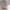 https://res.cloudinary.com/billionhands/image/upload/v1775504847/items/ecxpcqdie4xvbqncbde0.avif-0cover