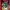 https://res.cloudinary.com/billionhands/image/upload/v1775504944/items/v44twtnvb8d1vjkisfsm.jpg-2cover