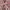 https://res.cloudinary.com/billionhands/image/upload/v1775505041/items/wjftpg0fsp006rcwagyk.png-3cover