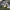 https://res.cloudinary.com/billionhands/image/upload/v1775505257/items/jrh3eyovylfivxovphci.webp-2cover