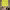 https://res.cloudinary.com/billionhands/image/upload/v1775505713/items/wuzzggjgk11mhic1fuhw.jpg-1cover