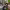 Spanish pop-punk bands to follow cover