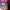 https://res.cloudinary.com/billionhands/image/upload/v1775506020/items/qspk5sawnkxi7izfq9wb.webp-3cover