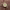 https://res.cloudinary.com/billionhands/image/upload/v1775506023/items/bckydyxmj6yxqaazqsr1.webp-2cover