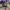 https://res.cloudinary.com/billionhands/image/upload/v1775506056/items/ixzsnlbbfj4ni0wficr1.jpg-2cover