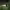 https://res.cloudinary.com/billionhands/image/upload/v1775506083/items/p75j0y5db2hpcgunyxc1.jpg-0cover
