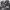 https://res.cloudinary.com/billionhands/image/upload/v1775506085/items/lpwhp0amzlpjzlhmypmw.jpg-2cover