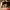 https://res.cloudinary.com/billionhands/image/upload/v1775506099/items/vln1c208hmz6rxznlexr.jpg-1cover