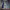 https://res.cloudinary.com/billionhands/image/upload/v1775506183/items/chirhqij2vyspikrdvz1.jpg-3cover