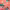 https://res.cloudinary.com/billionhands/image/upload/v1775506185/items/kvuxwyao309bvw33x8bw.jpg-0cover