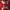 https://res.cloudinary.com/billionhands/image/upload/v1775506232/items/sa4xxrhvftwn51whaamz.jpg-0cover
