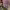 https://res.cloudinary.com/billionhands/image/upload/v1775506296/items/gsygf5oi3hjuf7afncuw.webp-2cover