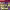 https://res.cloudinary.com/billionhands/image/upload/v1775506311/items/eaccnqvcc3ovn42onxgf.jpg-3cover