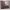 https://res.cloudinary.com/billionhands/image/upload/v1775506336/items/d4sbwihhmo4xptg26uvx.jpg-2cover