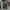 https://res.cloudinary.com/billionhands/image/upload/v1775506382/items/f1jwjrtzesopkwxqpfmg.jpg-2cover