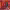 https://res.cloudinary.com/billionhands/image/upload/v1775506506/items/shwruyo4oe20wpqctfbt.jpg-3cover