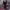 Juana Acosta - Dior Black Dress (Platino Awards 2025) cover