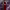 Paz Vega - Red Dress with Pure Lines (Platino Awards 2025) cover