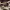 https://res.cloudinary.com/billionhands/image/upload/v1775506575/items/dexhuqzkuu4pakcznskn.webp-2cover