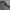 https://res.cloudinary.com/billionhands/image/upload/v1775506577/items/dbnqskc2tixkvjqr2igf.jpg-2cover