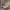 https://res.cloudinary.com/billionhands/image/upload/v1775506818/items/s2dhcfa4vqshx8invcp4.webp-2cover