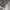 https://res.cloudinary.com/billionhands/image/upload/v1775506880/items/t43xg3jqgc46hlk5c6hi.jpg-0cover