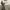 https://res.cloudinary.com/billionhands/image/upload/v1775506894/items/h9sgwsgt98whji7mboyn.jpg-0cover
