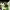 https://res.cloudinary.com/billionhands/image/upload/v1775506896/items/bwerhcmpohkivkaw6gm6.webp-0cover