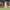 https://res.cloudinary.com/billionhands/image/upload/v1775506902/items/ha65u92u4rbilo3wyrbo.avif-3cover