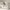 https://res.cloudinary.com/billionhands/image/upload/v1775506999/items/n529gztkmhvdr8wiydqj.webp-0cover