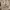 https://res.cloudinary.com/billionhands/image/upload/v1775507015/items/rkwyxzrc69lvajpxddin.webp-1cover