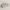 https://res.cloudinary.com/billionhands/image/upload/v1775507017/items/vjobilpxqaix5fmsd3tz.webp-2cover