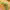 https://res.cloudinary.com/billionhands/image/upload/v1775507017/items/xwvuvrn9ns1vmy16dctm.jpg-1cover