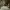 https://res.cloudinary.com/billionhands/image/upload/v1775507041/items/kszefjoypkvhlzuw6wzc.jpg-0cover
