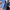 https://res.cloudinary.com/billionhands/image/upload/v1775507049/items/ajtlro9yt586ri4muons.avif-2cover