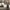 https://res.cloudinary.com/billionhands/image/upload/v1775507102/items/vlptmxu2bmhyilbctewt.jpg-3cover