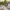 https://res.cloudinary.com/billionhands/image/upload/v1775507204/items/ojg4nfmqv9gjmcatgosl.jpg-0cover