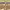 https://res.cloudinary.com/billionhands/image/upload/v1775507239/items/iy7rfwpeud0tcvdmpha2.jpg-1cover