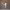 https://res.cloudinary.com/billionhands/image/upload/v1775507416/items/jqldqtdyljzwpo8igrd4.webp-0cover
