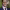 https://res.cloudinary.com/billionhands/image/upload/v1775507417/items/v4b9zx2hlwqimrqii5ub.jpg-0cover