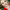 https://res.cloudinary.com/billionhands/image/upload/v1775507423/items/hvvhedr92sir0jr6jvoq.jpg-2cover