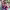 https://res.cloudinary.com/billionhands/image/upload/v1775507610/items/gtayri6wiwfk4ncjgvvq.webp-2cover