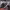 https://res.cloudinary.com/billionhands/image/upload/v1775507945/items/xsdeyqi1uc2ev5a1juna.jpg-0cover