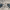 https://res.cloudinary.com/billionhands/image/upload/v1775508037/items/o3vjqbtdzkcwjvywf7z4.jpg-1cover