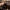 https://res.cloudinary.com/billionhands/image/upload/v1775508511/items/audyriyc4vntwkbxg7rv.jpg-2cover