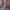 https://res.cloudinary.com/billionhands/image/upload/v1775508538/items/tovbqlsicbqyxunkjpn6.jpg-3cover