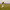 https://res.cloudinary.com/billionhands/image/upload/v1775508562/items/nvsf6hzdoxowvxgr4fry.jpg-0cover