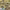 https://res.cloudinary.com/billionhands/image/upload/v1775508708/items/wh9bqmj7yqwj9z1tvghp.jpg-3cover