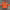 Ultralight Windbreaker "Defy" (Orange Mud) cover